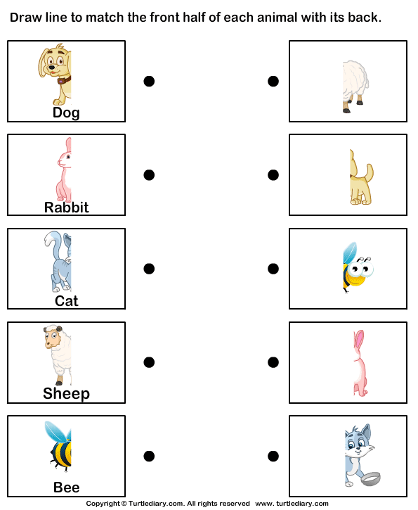 Match Animals Worksheet2