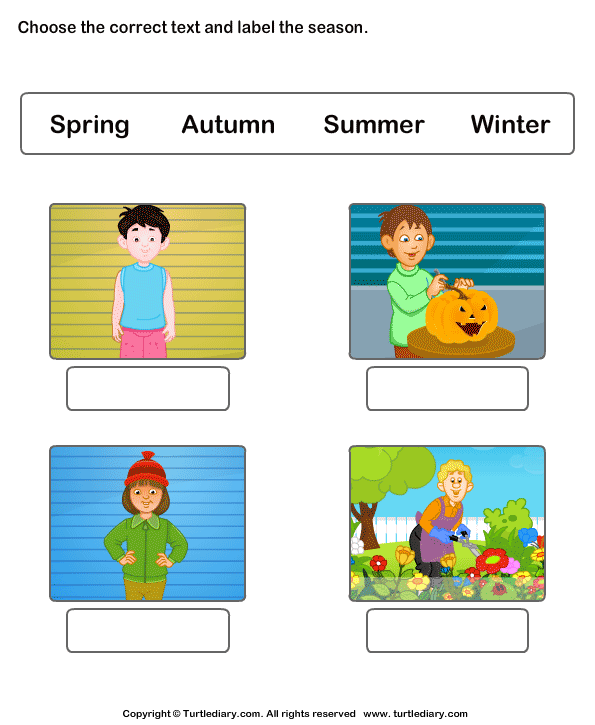 Seasons Worksheet 2