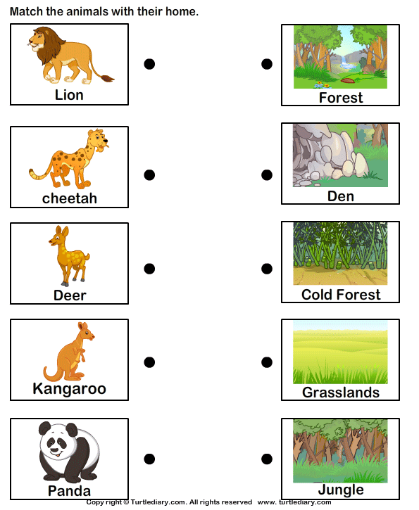 Wild Animals Worksheet2