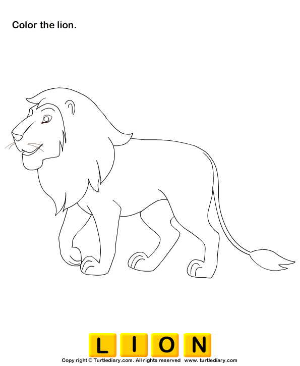 Wild Animals Worksheet1