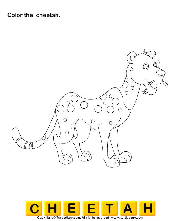 Wild Animals Worksheet10