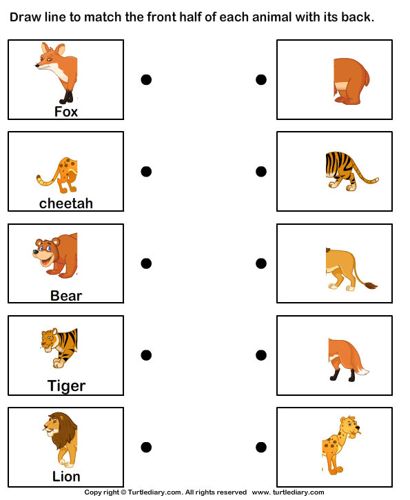 Wild Animals Worksheet12