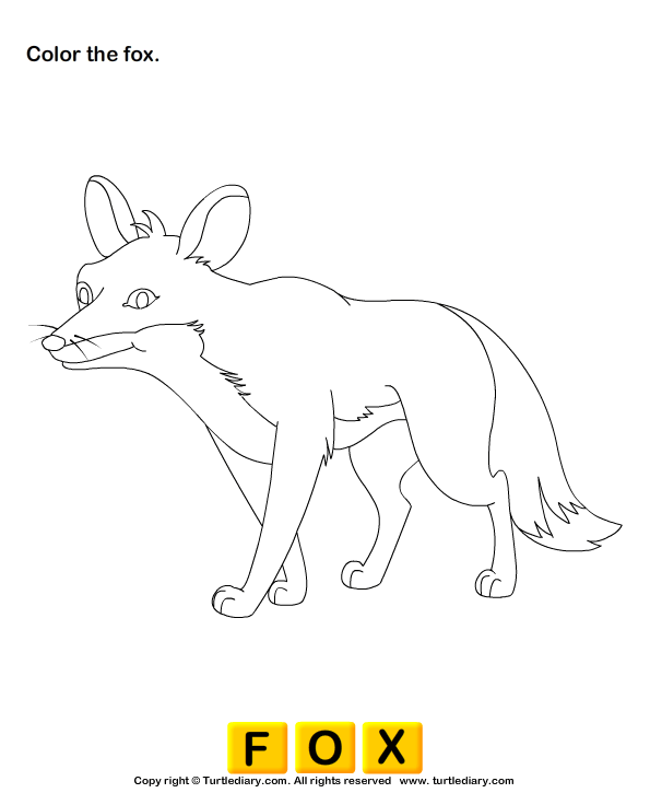 Wild Animals Worksheet5