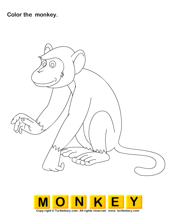 Wild Animals Worksheet6