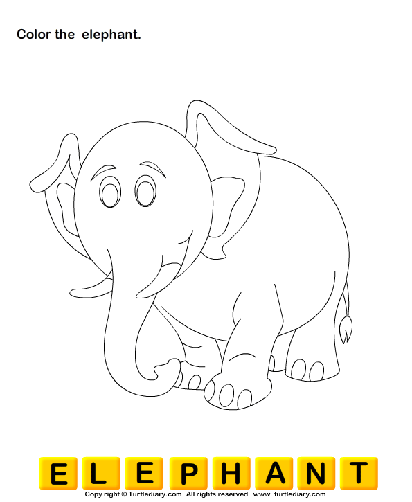 Wild Animals Worksheet7