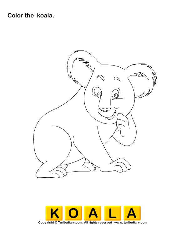 Wild Animals Worksheet8
