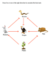 Food Chain