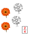 Learn Fraction