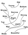 Opposite Adjective