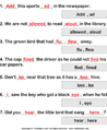 Homophone Sentences