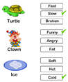 Describing Words