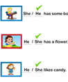 Genders