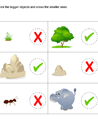 Identify Adjective