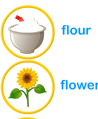 Spell Homophone