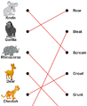 Wild Animals