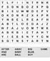 Word Search