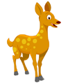 Color Animals