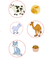 Farm Animals