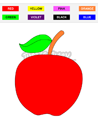 Fruits