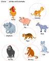 Wild Animals