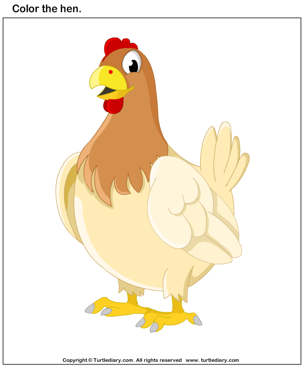 Hen s Worksheet - Turtle Diary