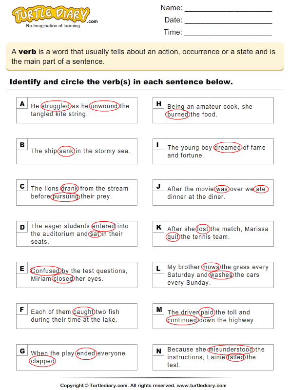 identify-the-verbs-worksheet-turtle-diary