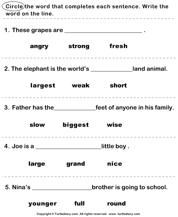 Find The Correct Adjective Worksheet 3 Turtle Diary