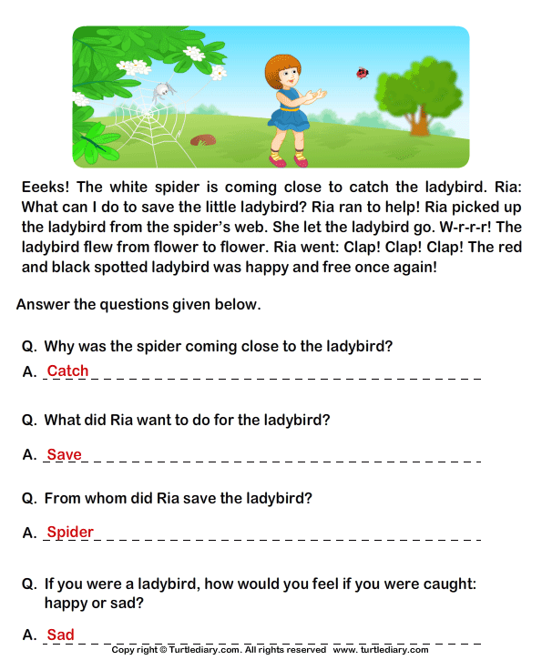 Comprehension Worksheets Pdf