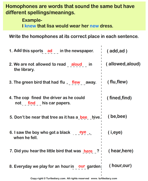complete-the-sentences-with-correct-homophone-worksheet-1-turtle-diary