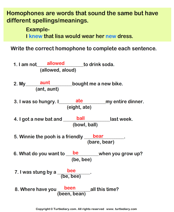 Complete The Sentences With Correct Homophone 7 Worksheet ...