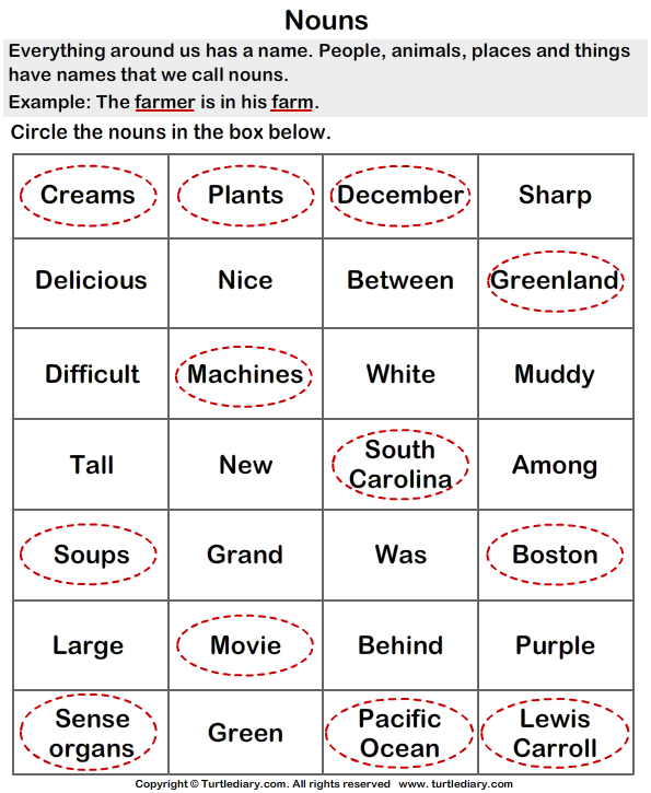 Choose the correct noun - TurtleDiary.com