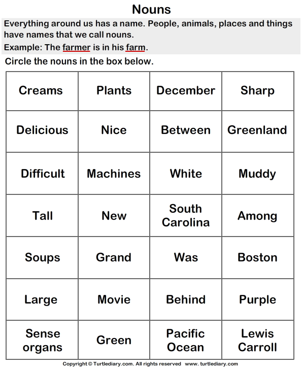 Choose the correct noun - TurtleDiary.com