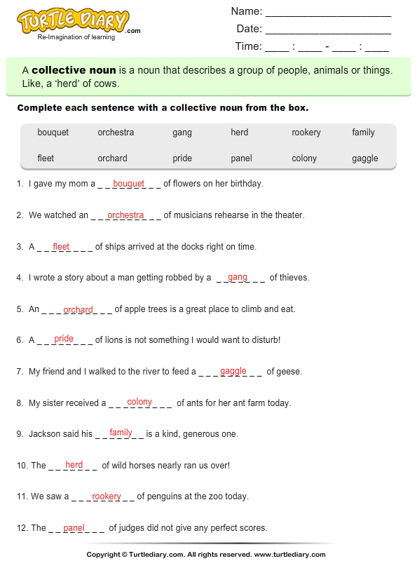 complete-the-sentence-with-a-collective-noun-worksheet-turtle-diary