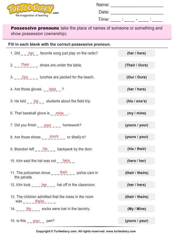 Fill In The Blanks With A Possessive Pronoun Worksheet 2 - Turtle Diary