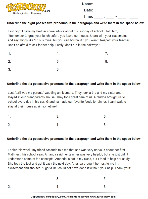 Identify Possessive Pronouns Worksheet 2 - Turtle Diary