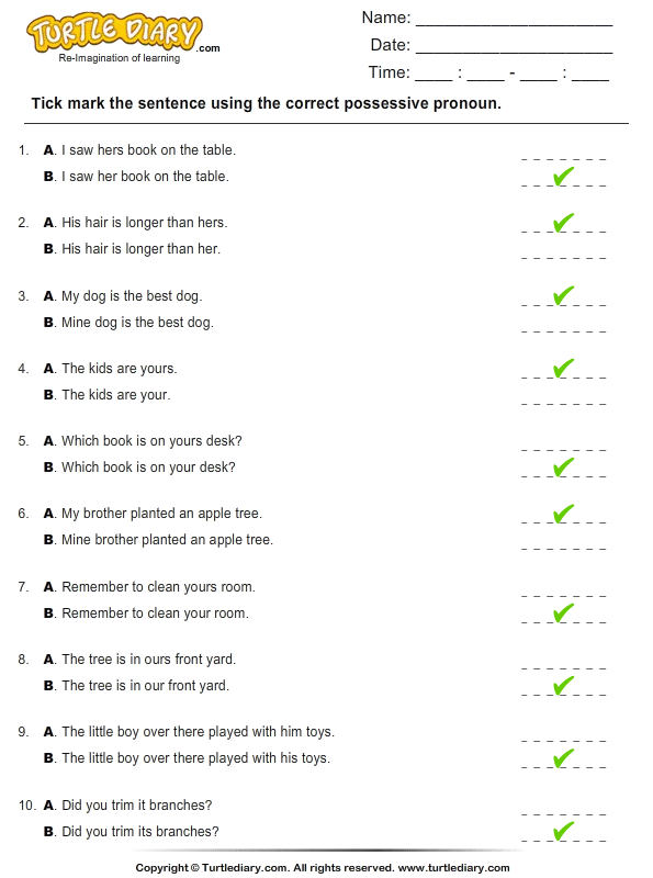 which-sentence-has-correct-possessive-pronoun-worksheet-5-turtle-diary