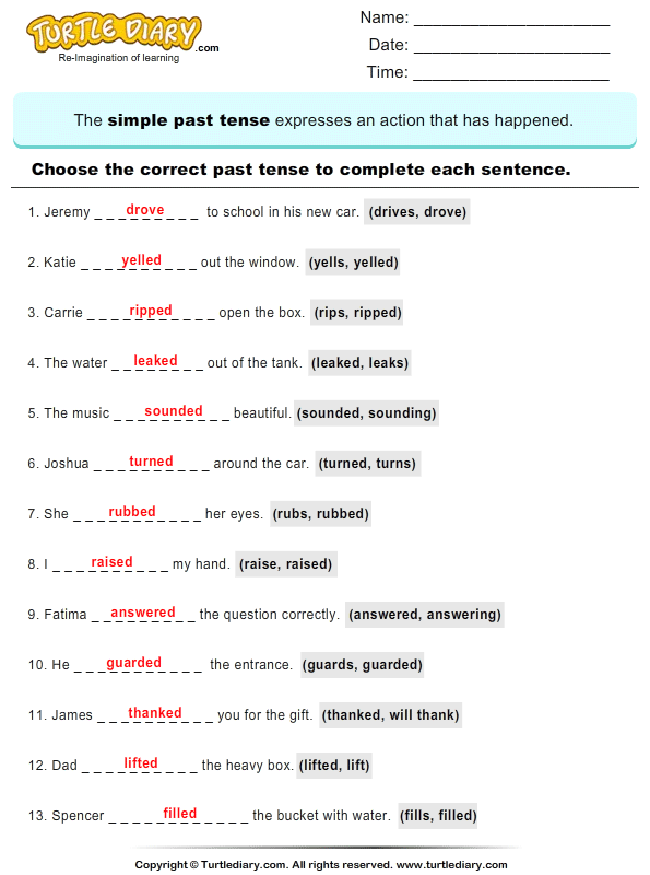 revising-the-present-simple-tense