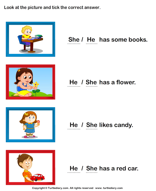 Gender Nouns Worksheets Choose Between She And He 1 Turtle Diary
