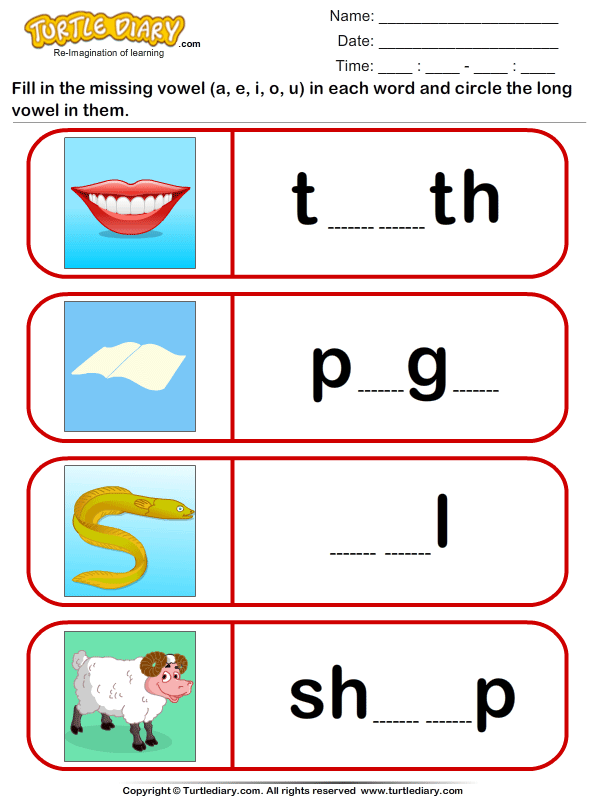 Circle The Long Vowel TurtleDiary