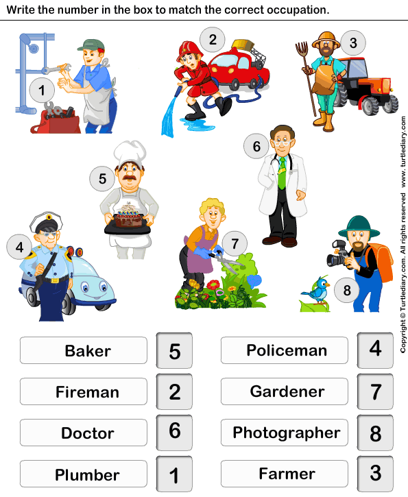 Identify The Job 6 Worksheet - TurtleDiary.com
