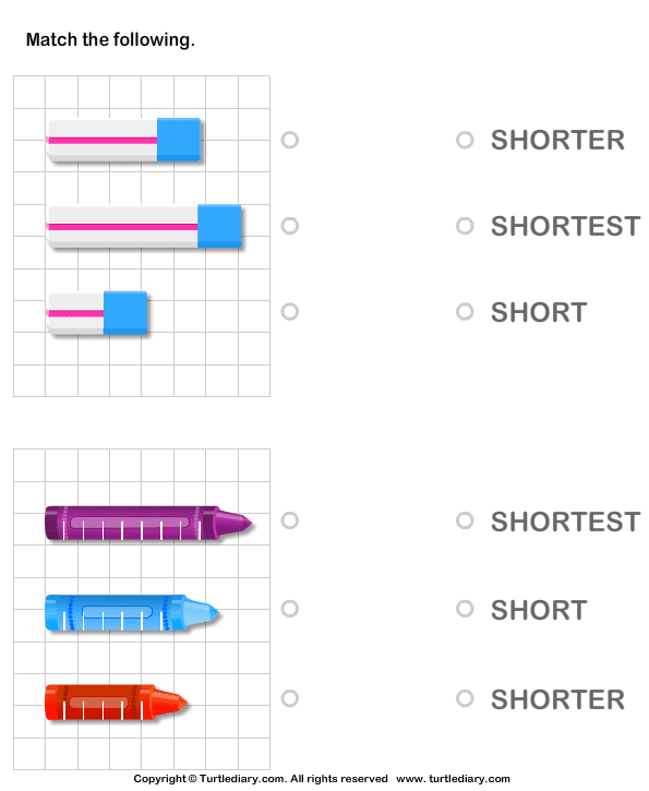 short-shorter-shortest-turtlediary