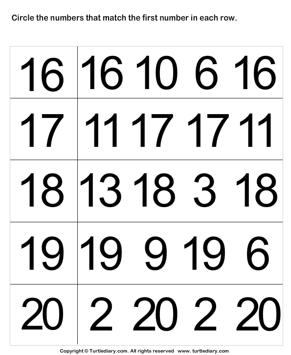 identify-numbers-worksheet-4-turtle-diary