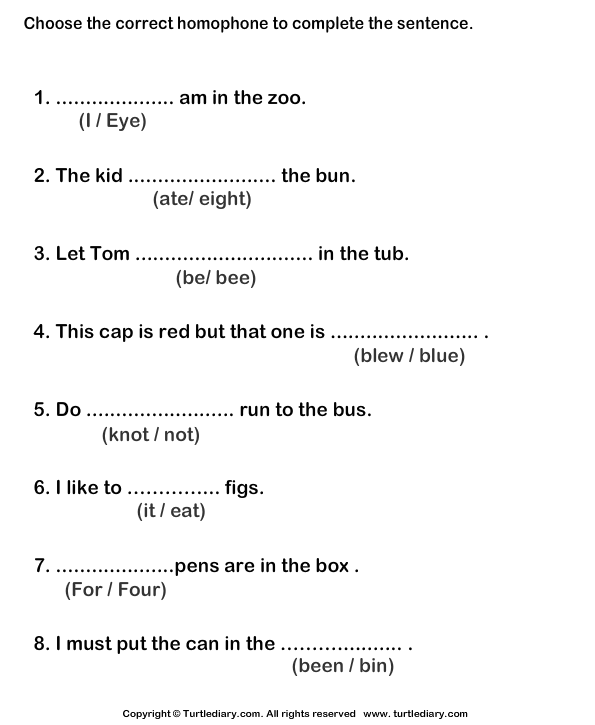 identify-homophone-for-the-given-sentence-worksheet-turtle-diary