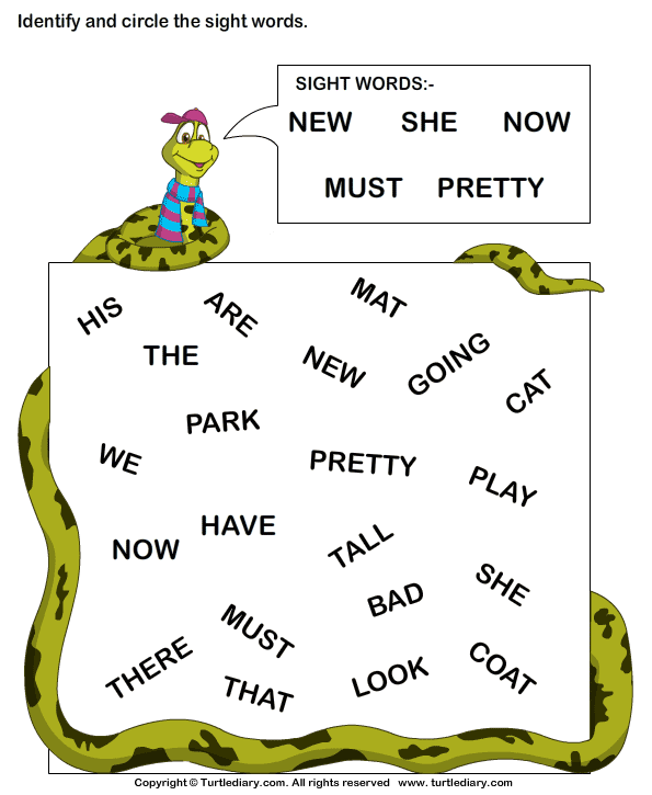 Identify Sight Words New She Now Pretty Worksheet - Turtle Diary