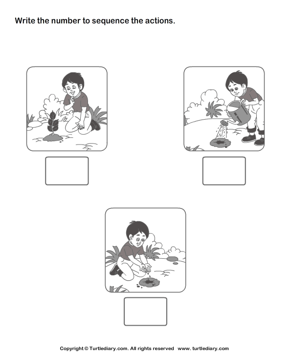 Picture Sequencing Boy Planting a Tree Worksheet - Turtle Diary