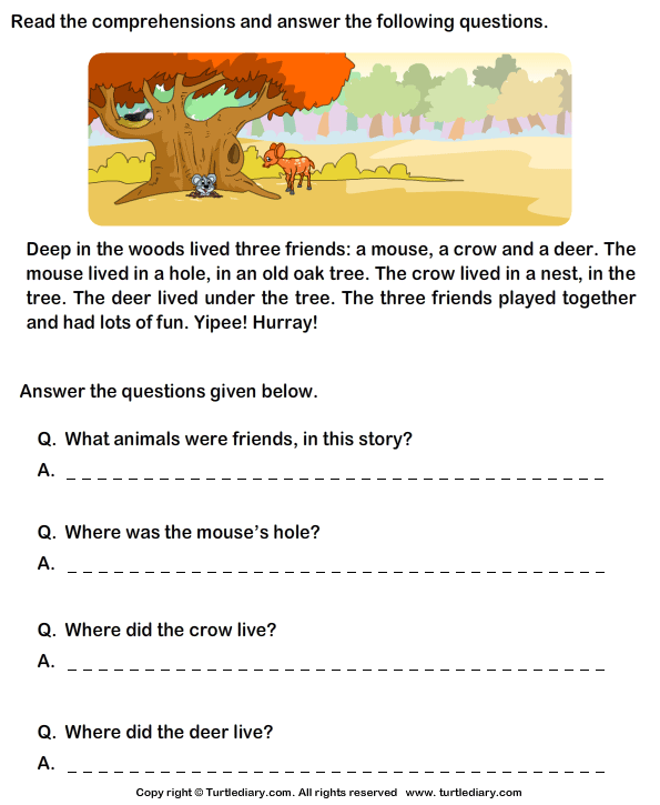 Reading Comprehension Stories Worksheet - Turtle Diary