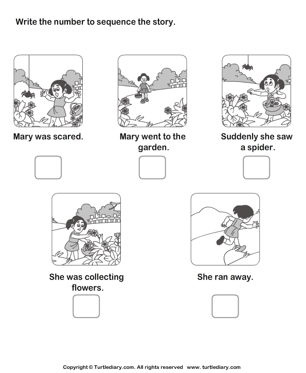 story-sequencing-worksheet-turtle-diary