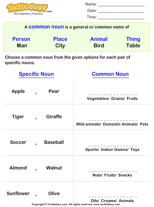 write-a-common-noun-for-proper-nouns-worksheet-turtle-diary