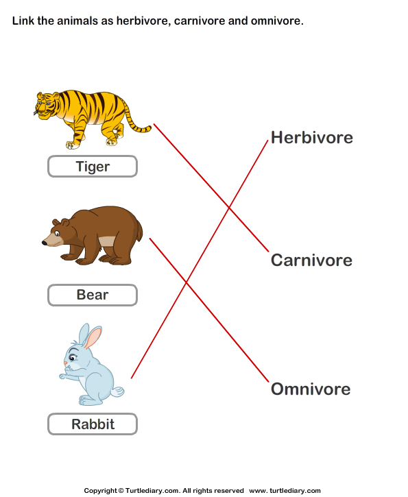 Identify animals as herbivore, carnivore, or omnivore Worksheet