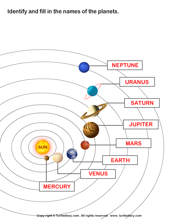 Label The Planets Worksheet - Turtle Diary